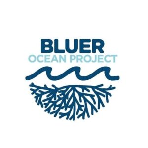 logo de Bluer Ocean Project